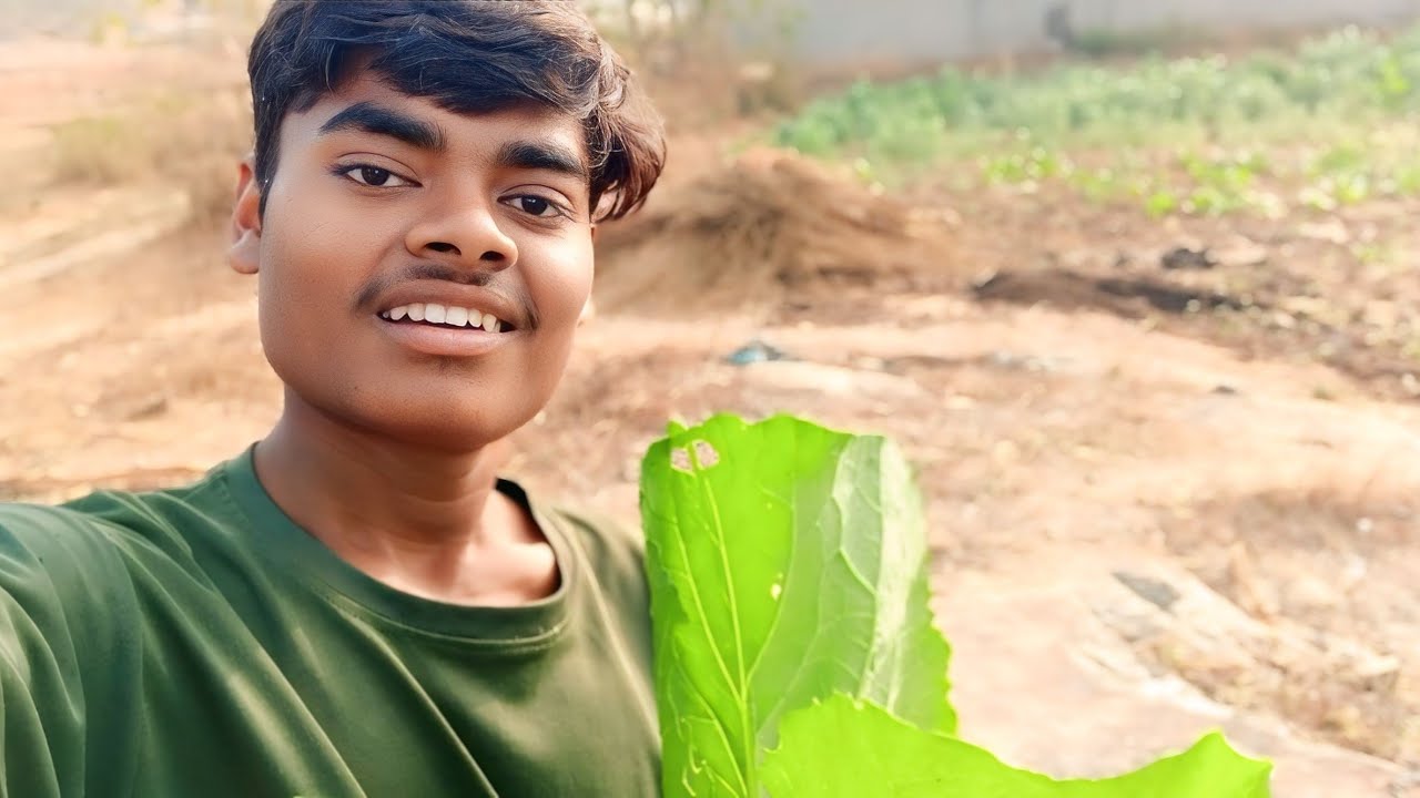 biggest mustard🥬सबसे बड़ी सरसों 🥬