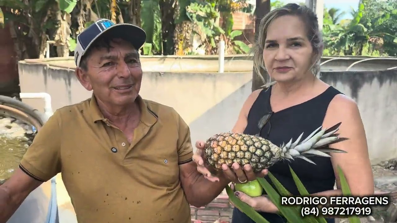 AVANÇO GIGANTE: A INSTALAÇÃO DOS 5 NOVOS TANQUES JÁ ESTÁ EM ANDAMENTO! 
