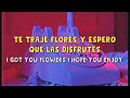 Cansisco  tulips sub espaol  lyrics