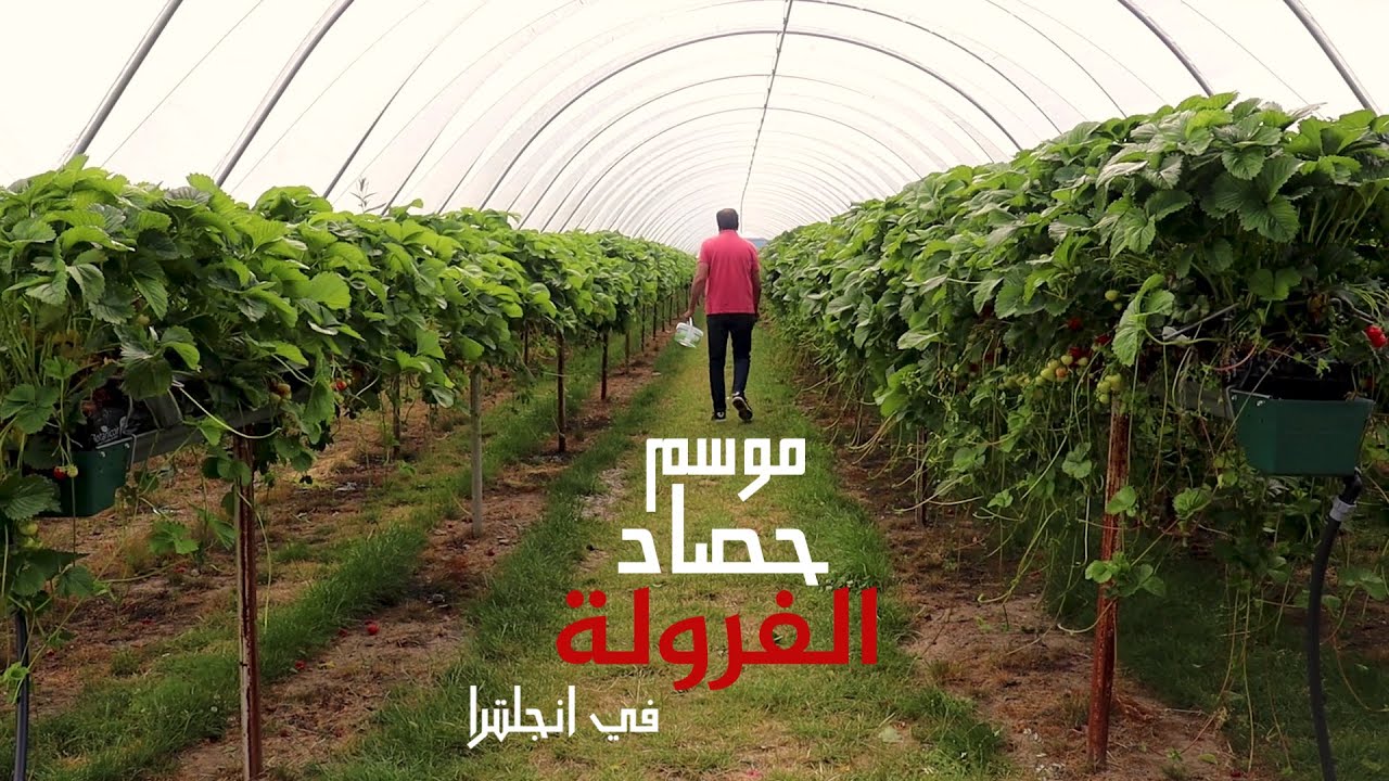 اشتغلت فلاح ليوم واحد