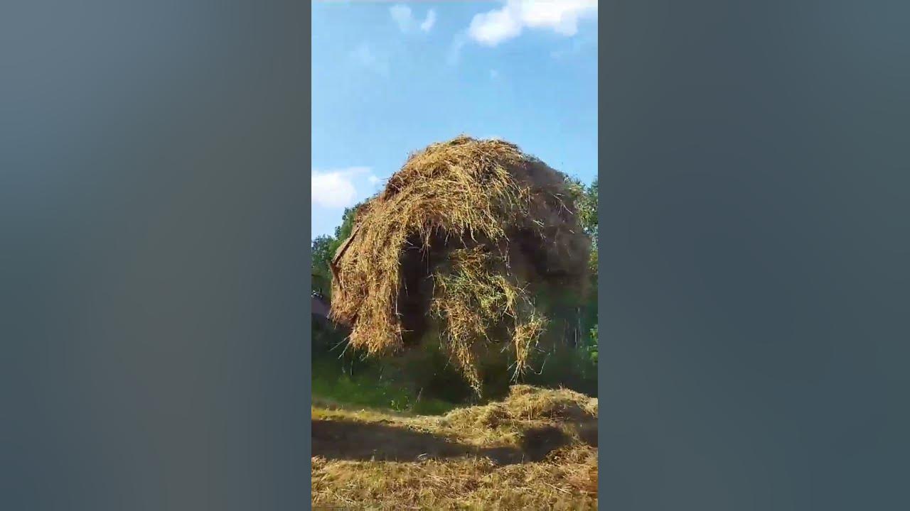 Арнольд Шварц МтзТурбо - YouTube
