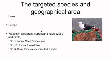 ENM2020 - W20T4 - Biomod - 3 - Multiple Species