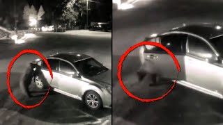 Clever Bear Opens Car Door Outside Courthouse