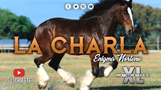 Enigma Norteño - La Charla (Corridos Nuevos 2017)