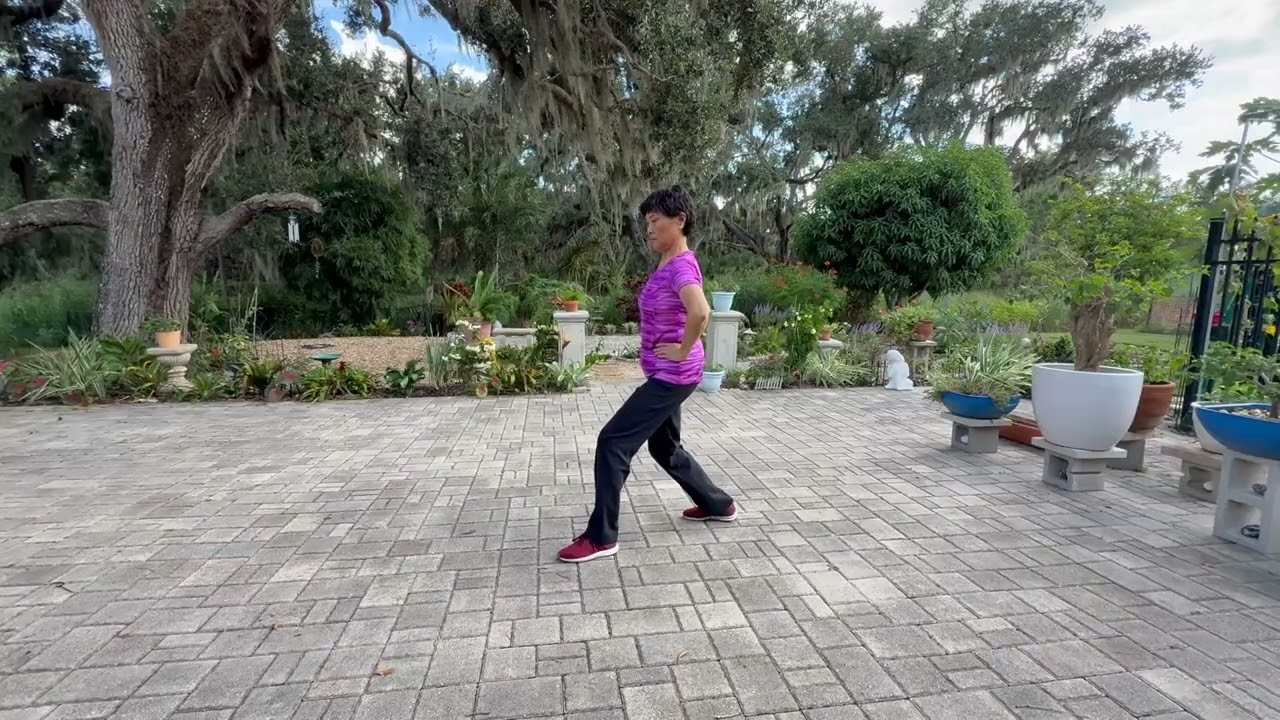 Tai Chi Walk