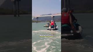 Amazing Jet Ski Adventure in Malaysia! #travel #adventure #jetski #langkawi #island #vlog #beach