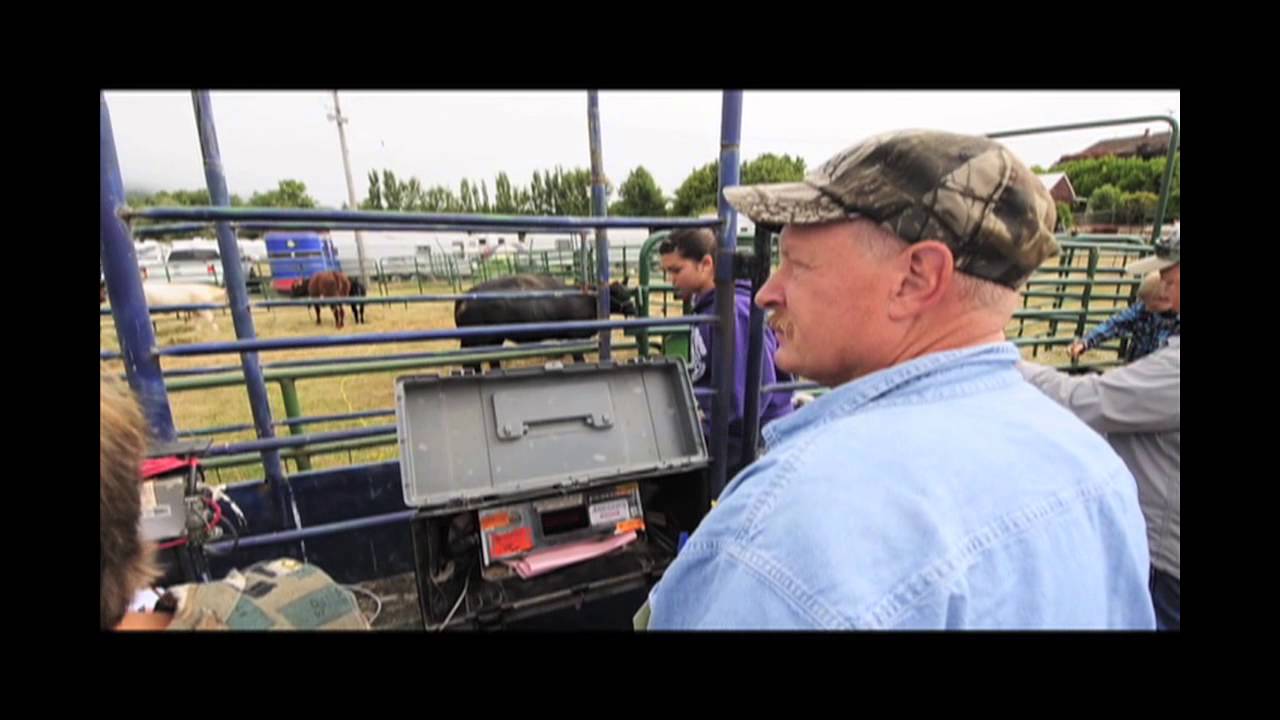 Weigh In at the Fair