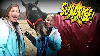 SURPRISE BIRTHDAY HORSE PART 2 Day 091 (04/01/18) SURPRISE BIRTHDAY HORSE PART 2 Day 091 (04/01/18)