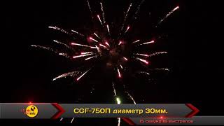 CGF 750П