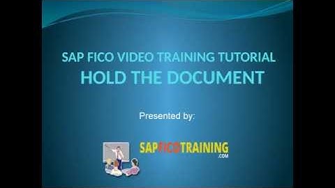 SAP FICO Video Training Tutorial - Hold The Document