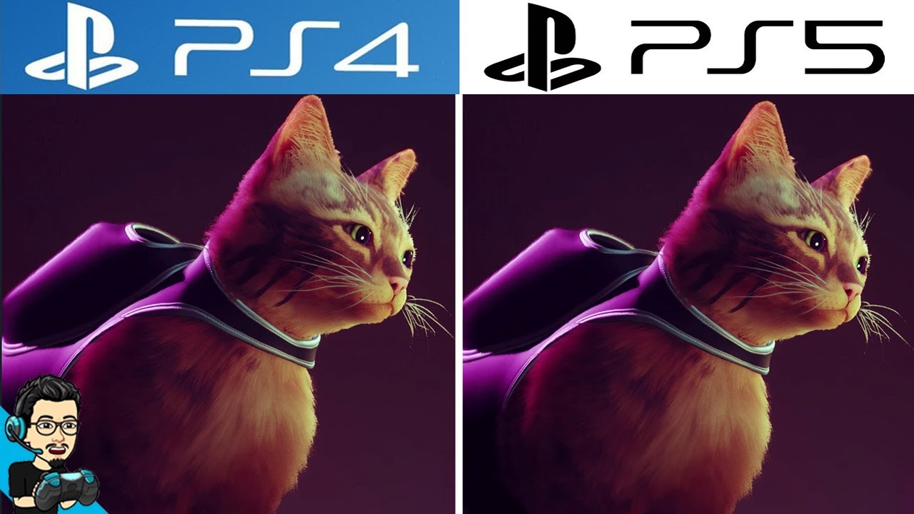 STRAY, PS4 - PS4 Pro - PS5, Graphics Comparison