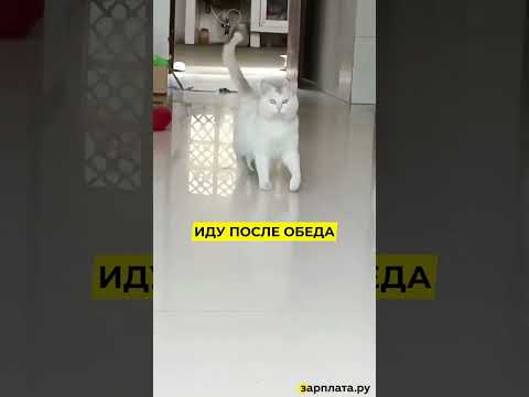 После обеда работать