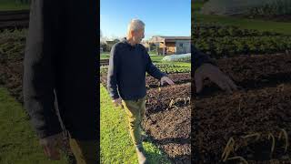 Mulching No Dig Beds for Winter & Spring | Compost, Woodchip & Soil Care