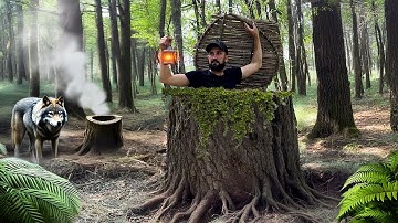 Building a Secret Dugout in a Large Tree Stump Survival Skills