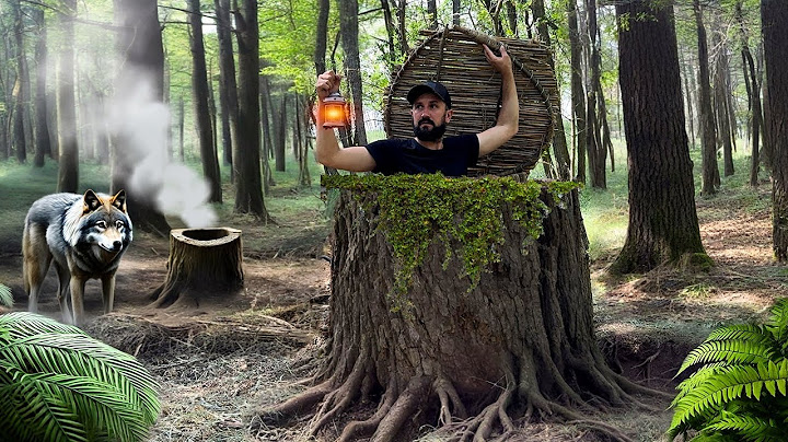 Building a Secret Dugout in a Large Tree Stump Survival Skills