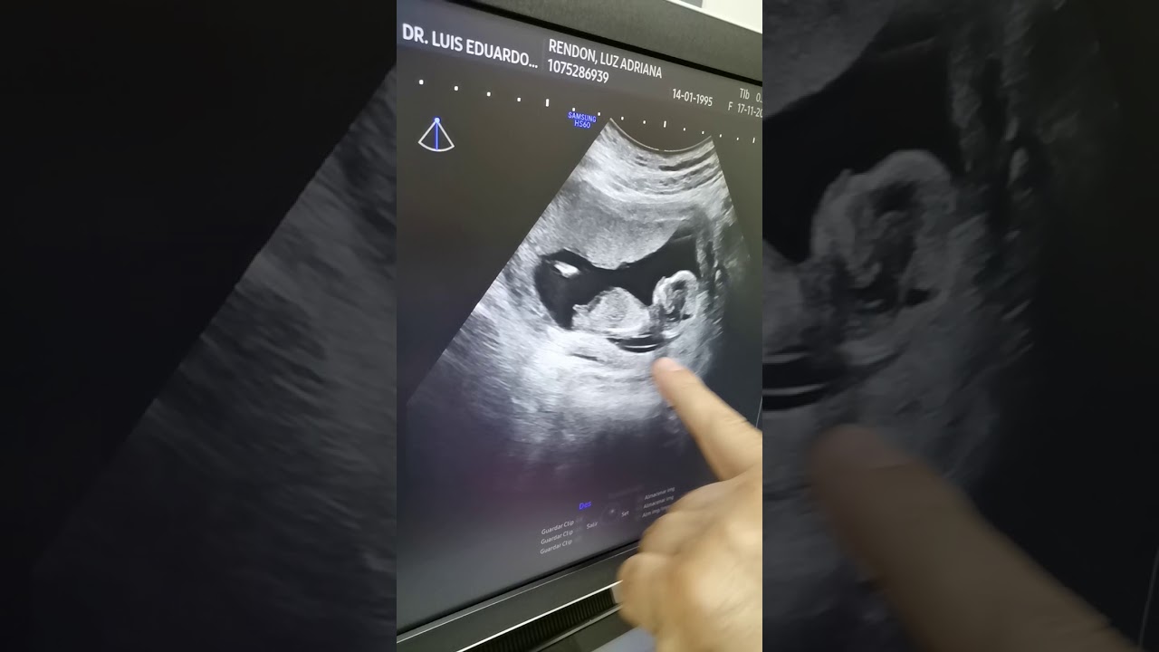 HS60, v2. 02. Manejo y funciones. 1