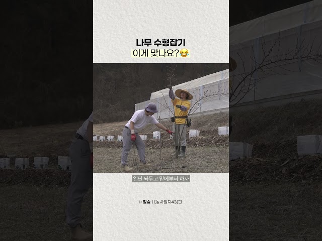 식목일이니까 나무 가꾸기
