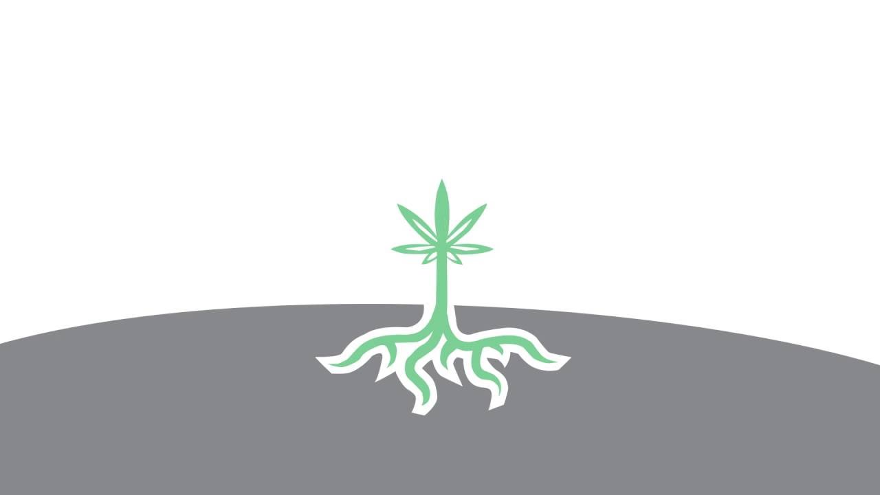 Caliclear Portable E-Rig | Find it at People's OC