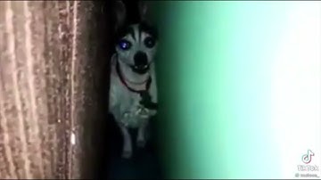 hola juan carlos como estas chupa pija te voy a matar cuando vengas