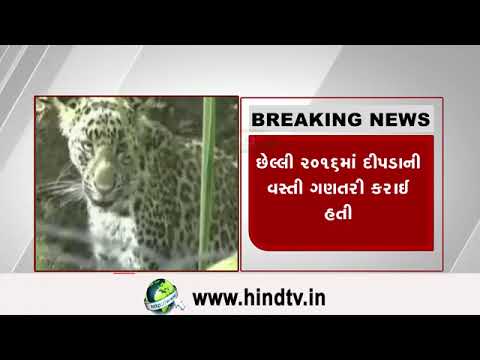 આજથી દીપડાની વસ્તી ગણતરી હાથ ધરાશે