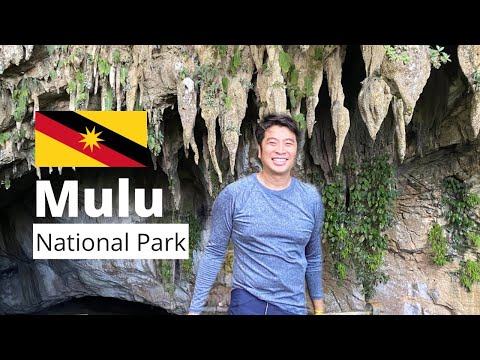 🦇 UNESCO World Heritage Gunung Mulu National Park: Deer Cave, Lang Cave, Wind Cave, Clearwater Cave