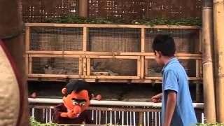 AR123 - Peternakan Kelinci.mp4