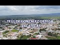 Video de Teúl de González Ortega