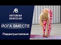 Йога вместе. Падангуштхасана.  Наклон вперед из положения стоя.