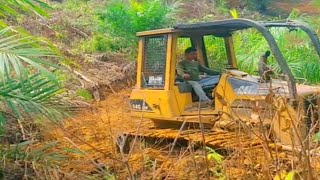 Proses Pembuatan Jalan Panen Dengan Alat Berat Boldoser