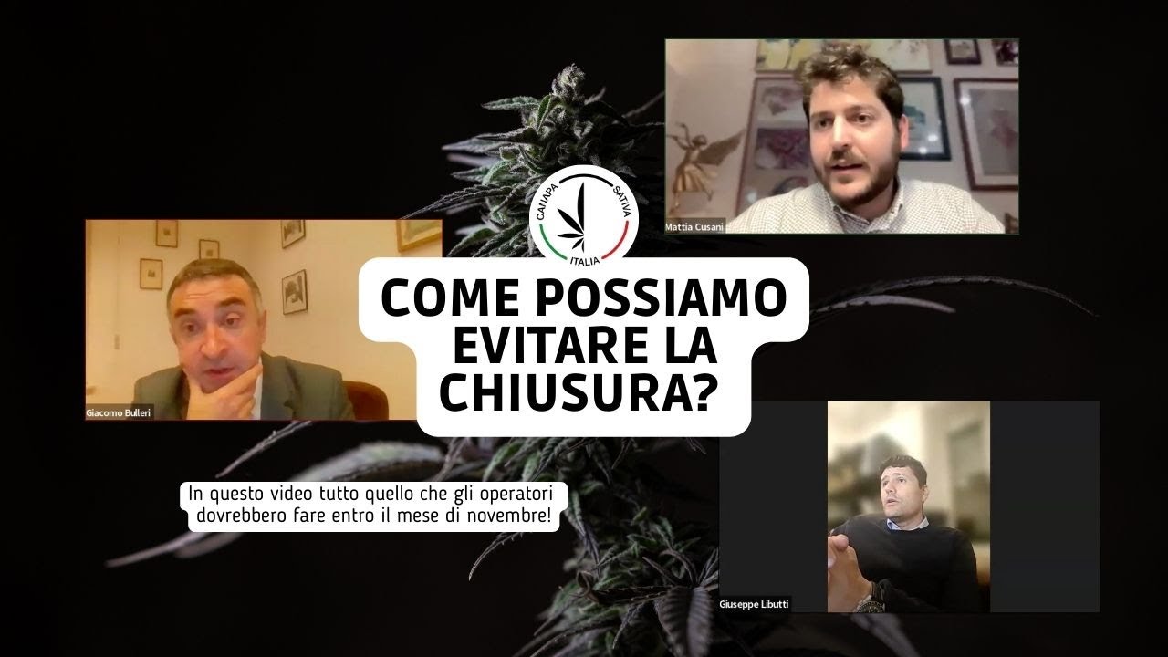 COSA FARE? Crisi della Canapa: Strategie CON GLI AVVOCATI per Prevenire la Chiusura del Settore CBD