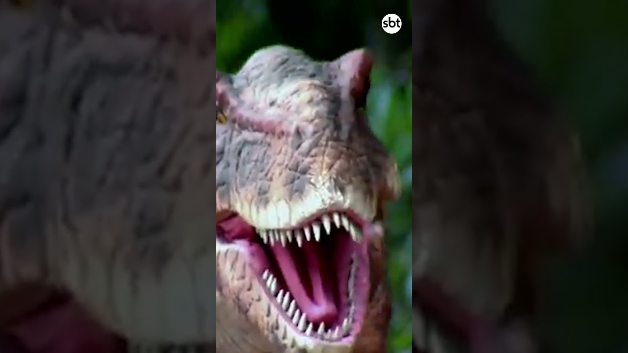 Roubar Ovos de Dinossauro #entretenimento #humor #pegadinhassilviosantos #pegadinha