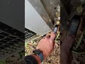 HVAC Tech's Secret: Perfect System Pump Down in 5 Mins! #shorts