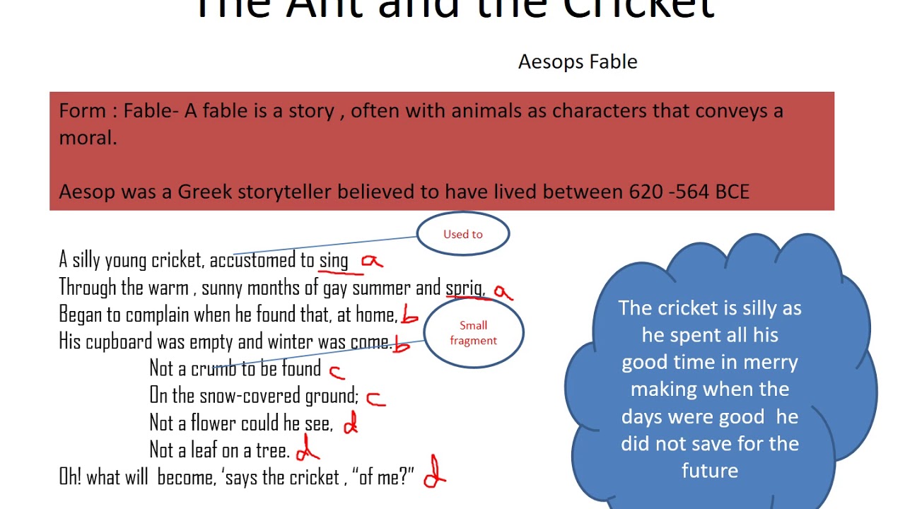 The Ant And The Cricket CBSE Class 8 Explanation Literary Devices And