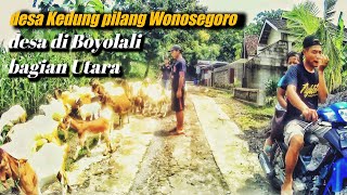 jelajah desa Kedung pilang Wonosegoro Boyolali