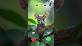 #furbaby #status MI TELEPON SOUND EFFECT #cat #shorts #ringtone #short ☎️Ns #furbaby
