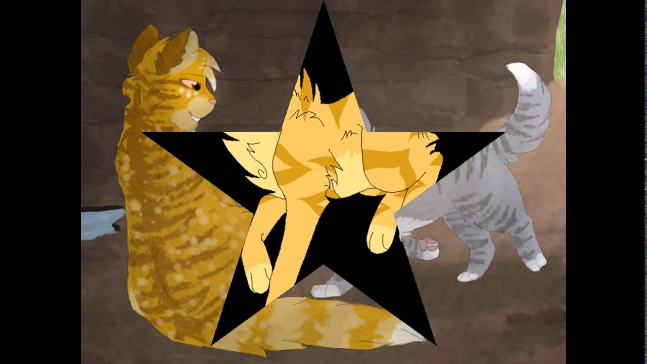 My Top 10 Favorite Warrior Cats YouTube