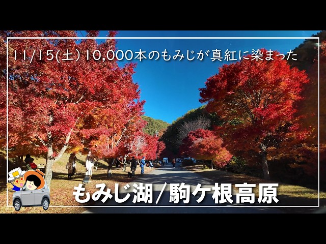 Lake Momiji [Autumn Foliage Vlog] Lake Momiji dyed crimson by