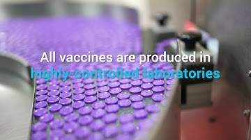 Maintaining the cold chain - UNICEF