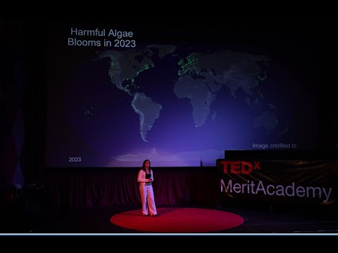 Developing Novel Algae & Compost Biofertilizer to Feed the World | Lilly Froeming | TEDxMeritAcademy Episode cover