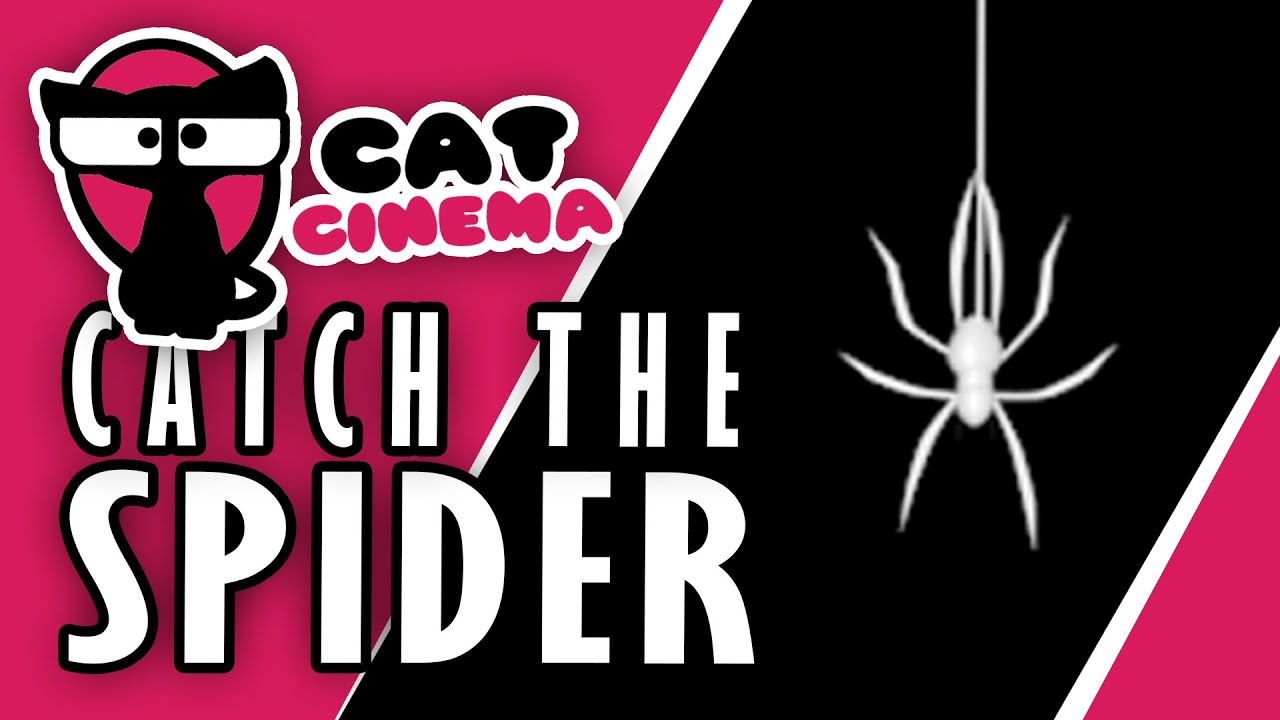 Video for Cats to watch spider - Catch the Spider Cat Game by Cat ...