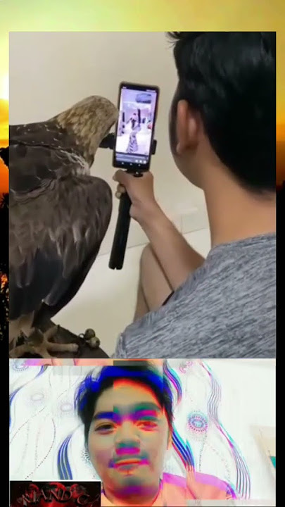 Lanang #funny #react #reels #memes #shorts