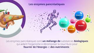 Vidéo Éducative Insuffisance Pancréatique Exocrine