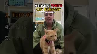 Ranking Weird Cat Behavior #cat #viral #viralvideo #shorts #short #funny #memes