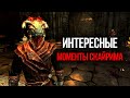 Skyrim Интересные моменты игры