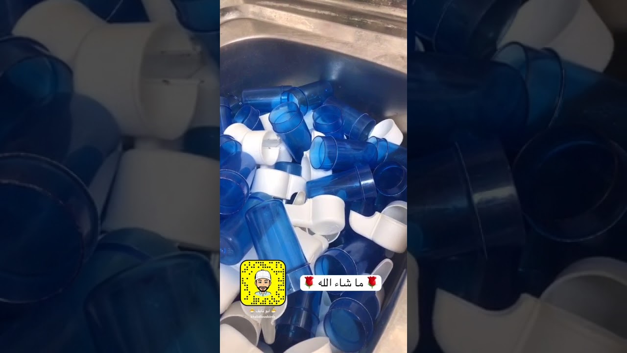 تقديم الماء للطيور وتنظيف المشربيات