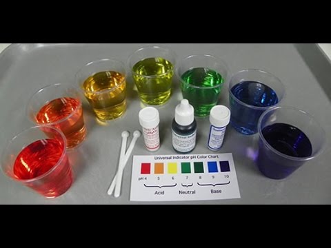 Ph Scale And Using Universal Indicator Youtube