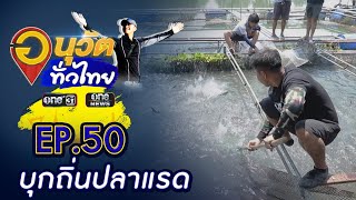 บุกถิ่นปลาแรด อุทัยธานี | อนุวัตทั่วไทย | EP 50 | ข่าวช่องวัน | one31