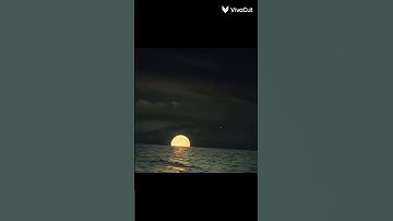 ”ان المتقين في جنات وعيون “القارئ شريف مصطفى