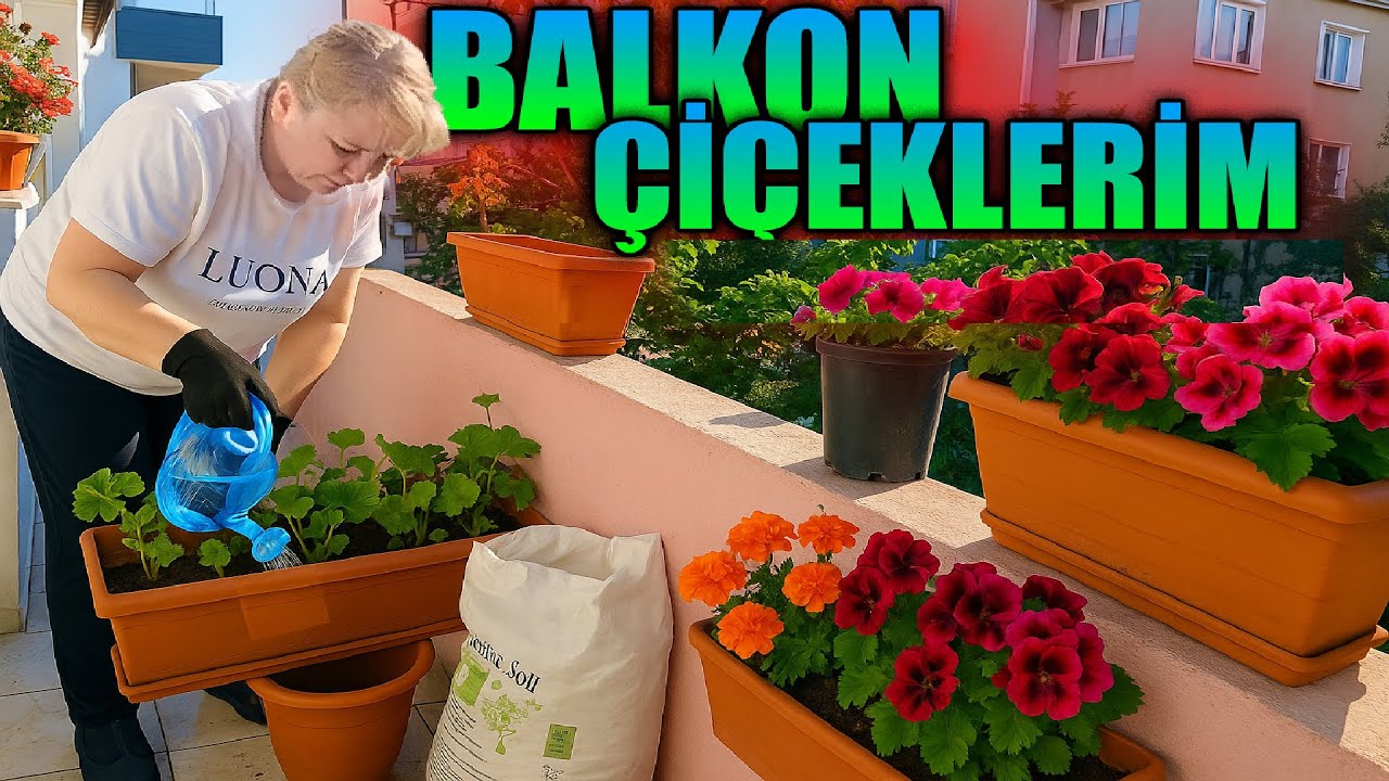 BAHÇE VE BALKON ÇİÇEKLERİM!!! - (ÇİÇEK YENİLEME VE DÜZENLEME)