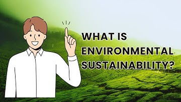 What is Environmental sustainability? #cleangreen: social sustainability
